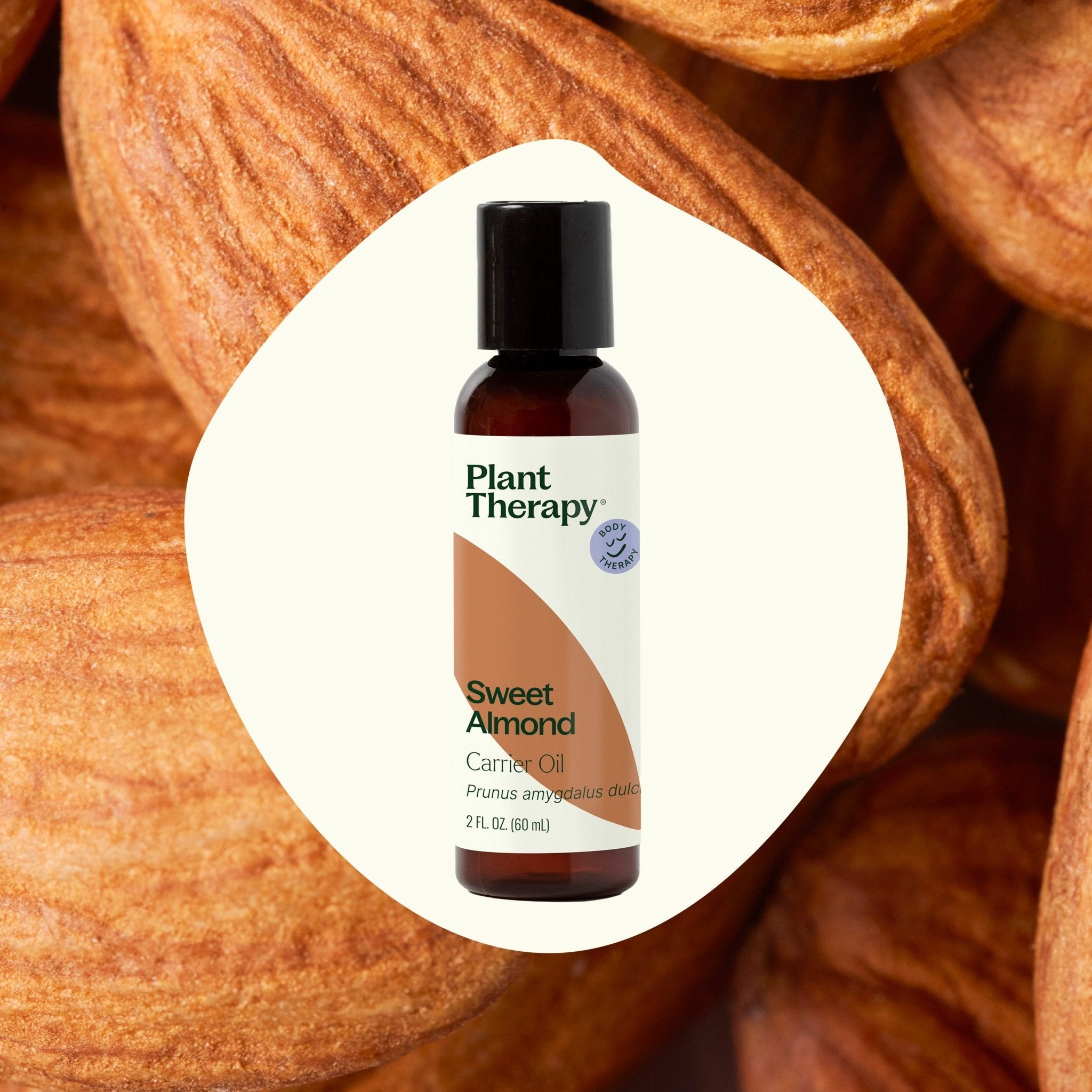 Plant Therapy Sweet Almond Carrier Oil