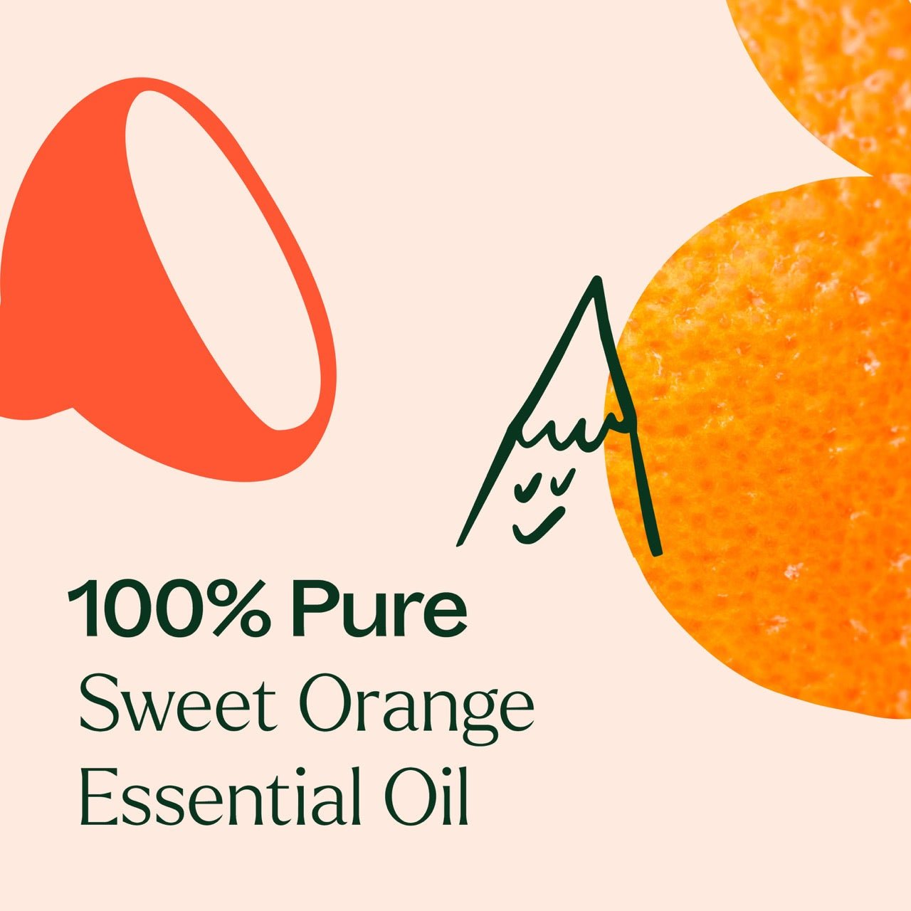 Plant Therapy Sweet Orange Essential Oil