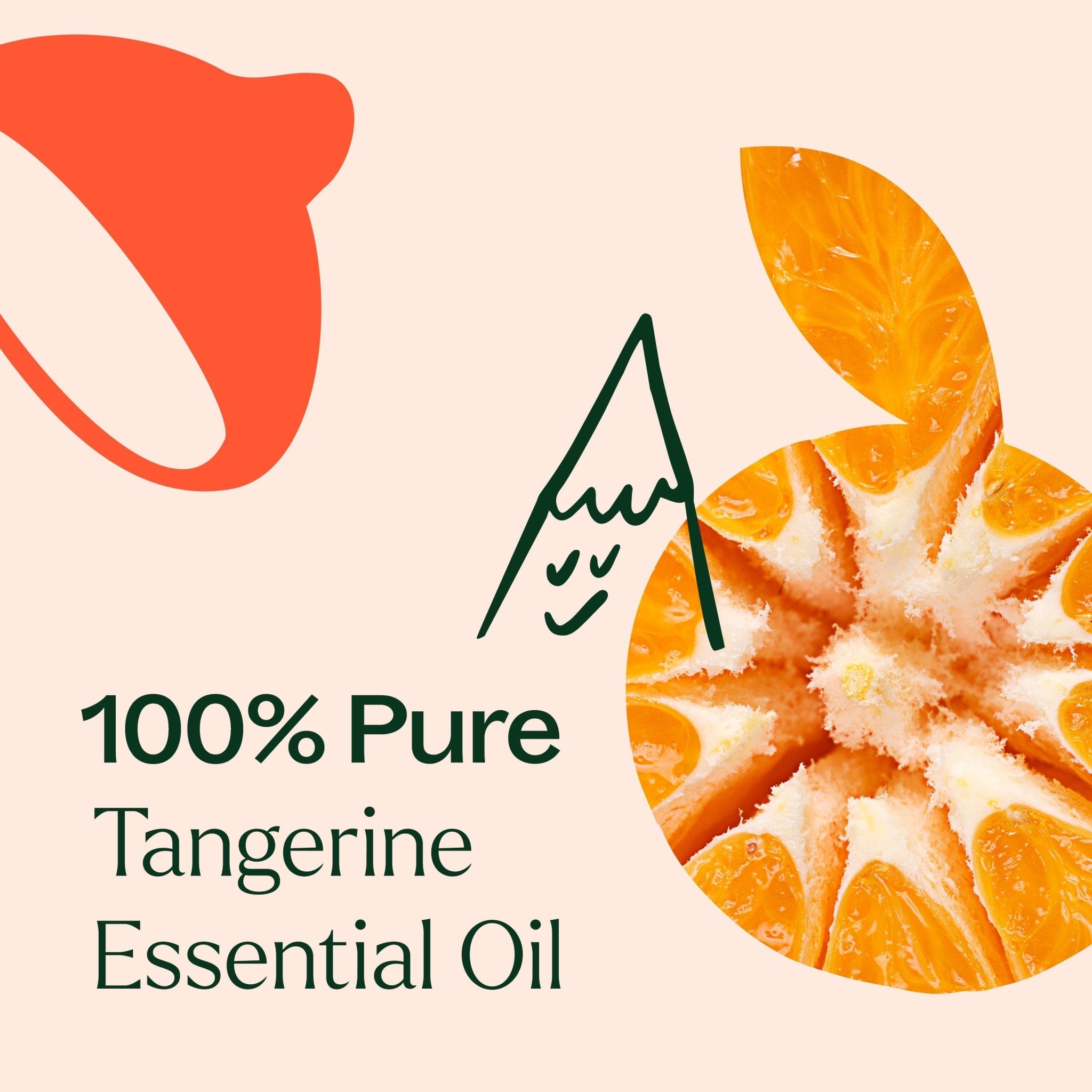 Plant Therapy Tangerine Essential Oil