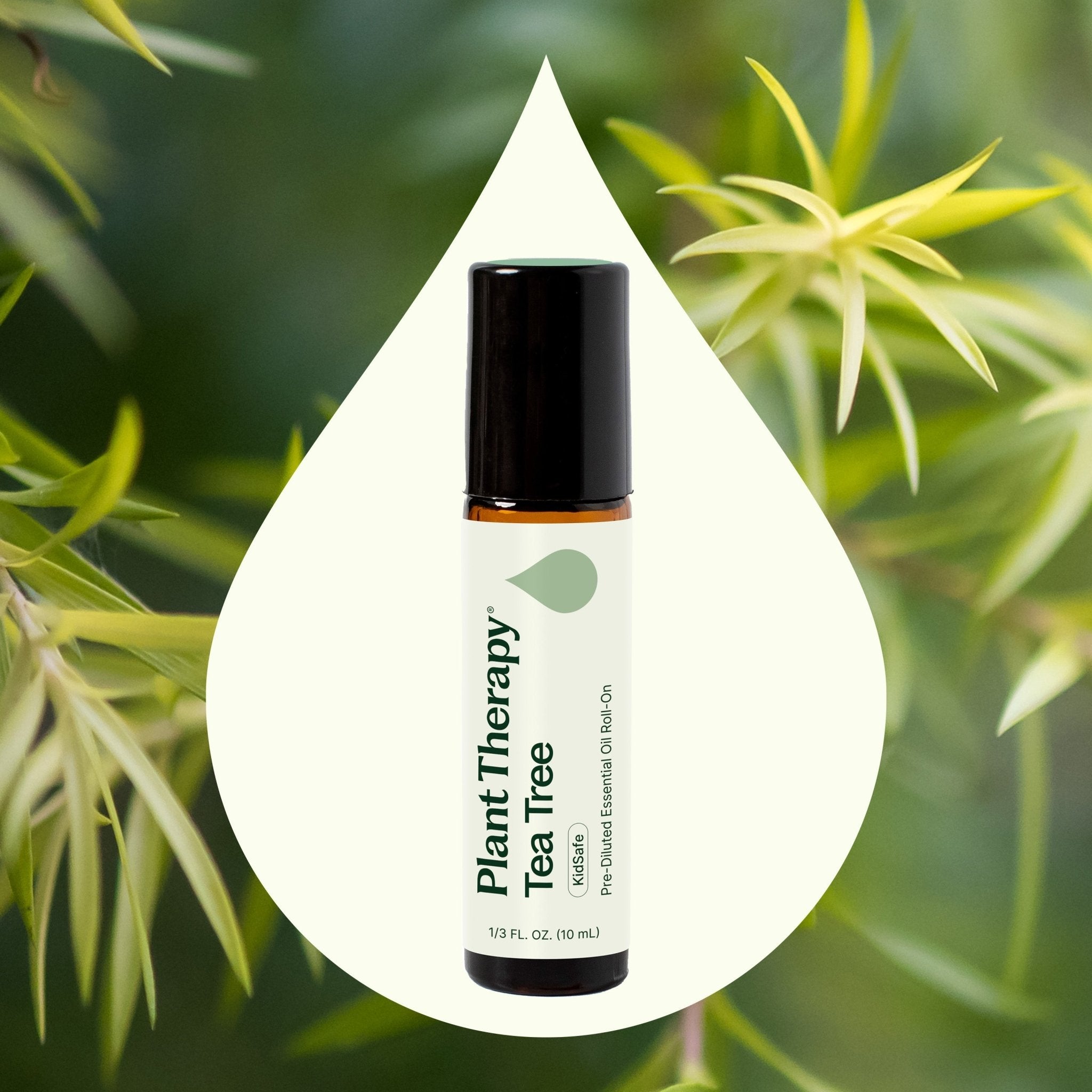 Plant Therapy Tea Tree Essential Oil Pre - Diluted Roll - On