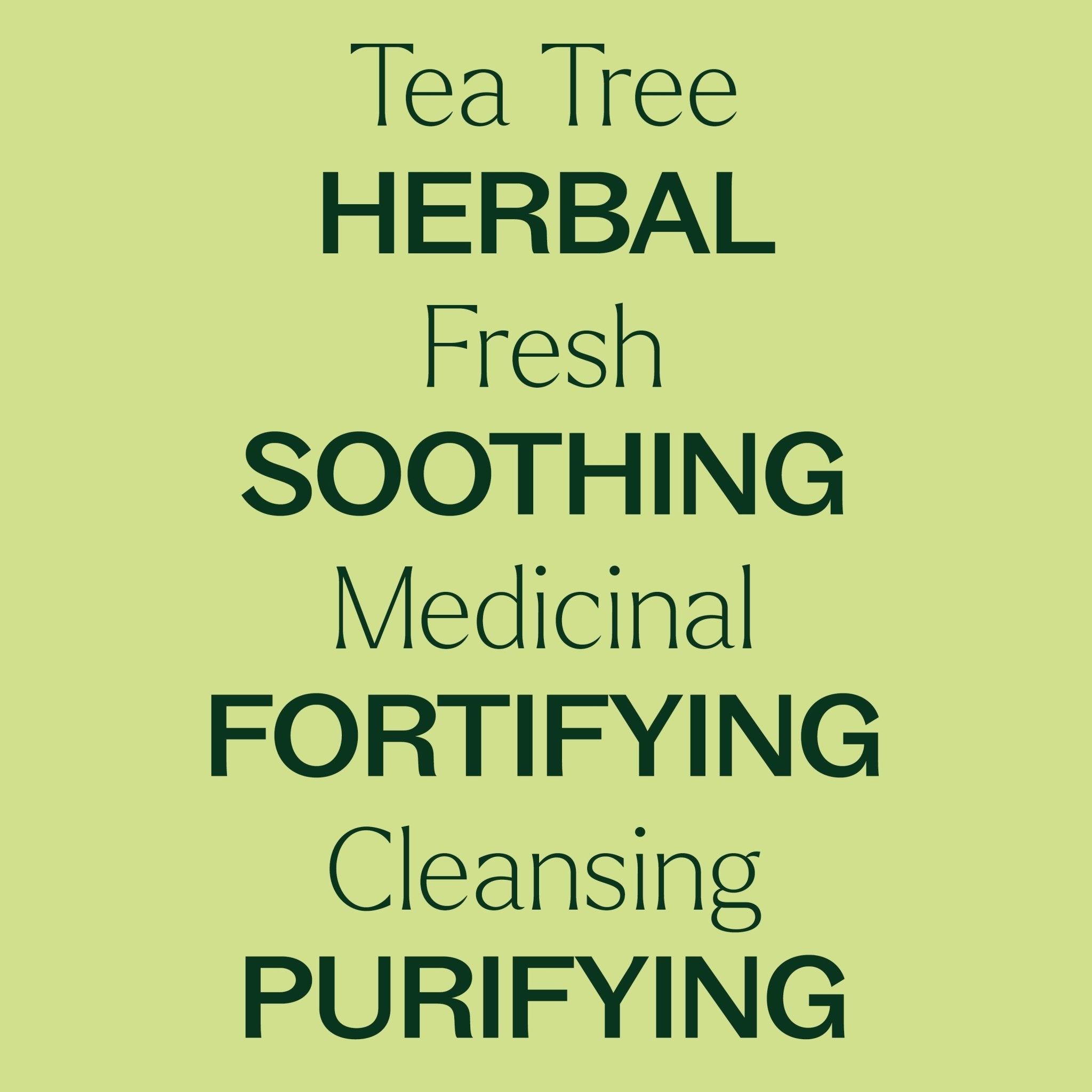 Plant Therapy Tea Tree Essential Oil Pre - Diluted Roll - On