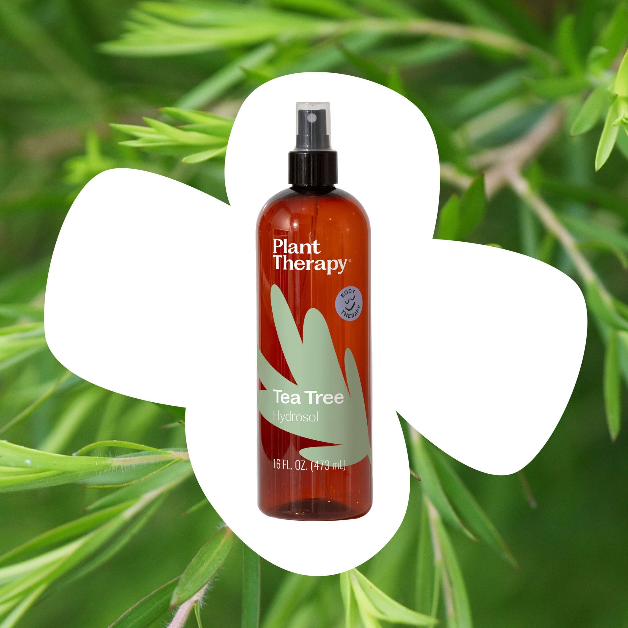 Plant Therapy Tea Tree Hydrosol