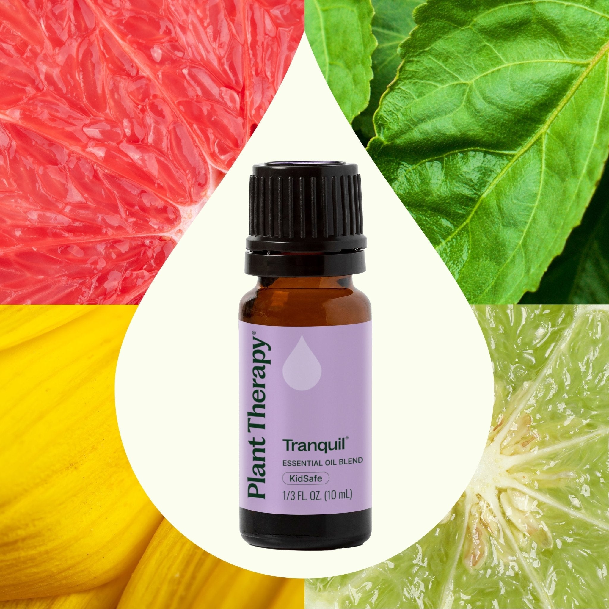 Plant Therapy Tranquil ®️ Essential Oil Blend