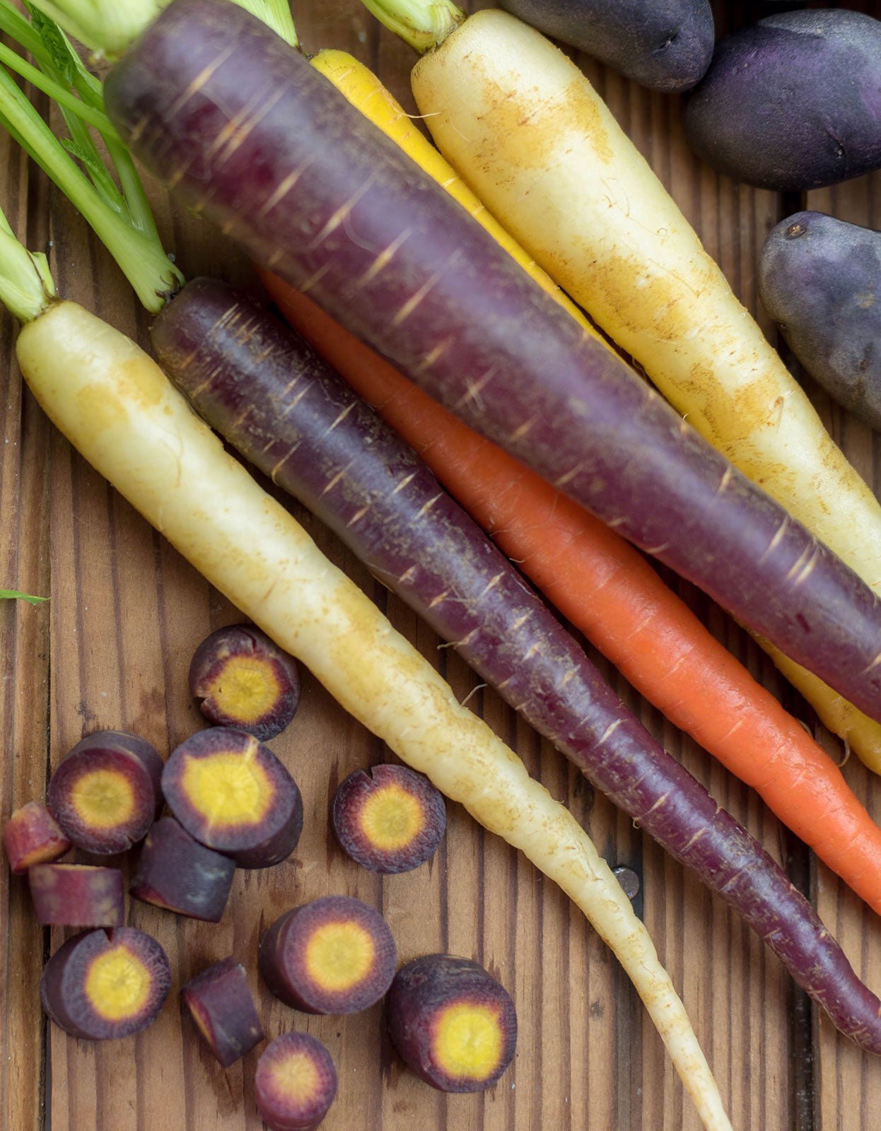 Pure Indian Foods Carrots Rainbow Blend Seeds