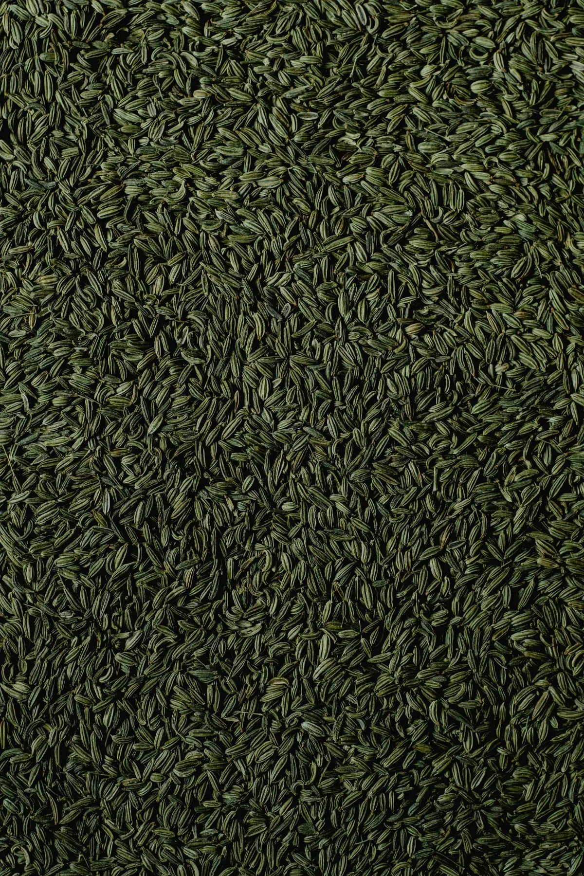 Pure Indian Foods Fennel Seed, Certified Organic