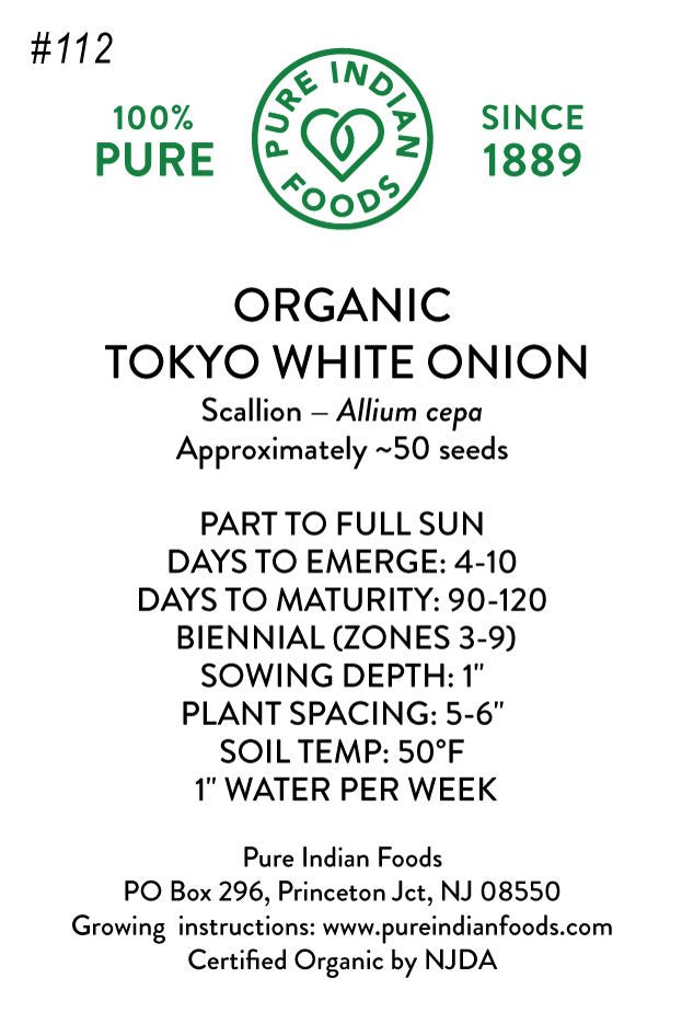 Pure Indian Foods Organic Tokyo White Onion (Scallions) Seeds