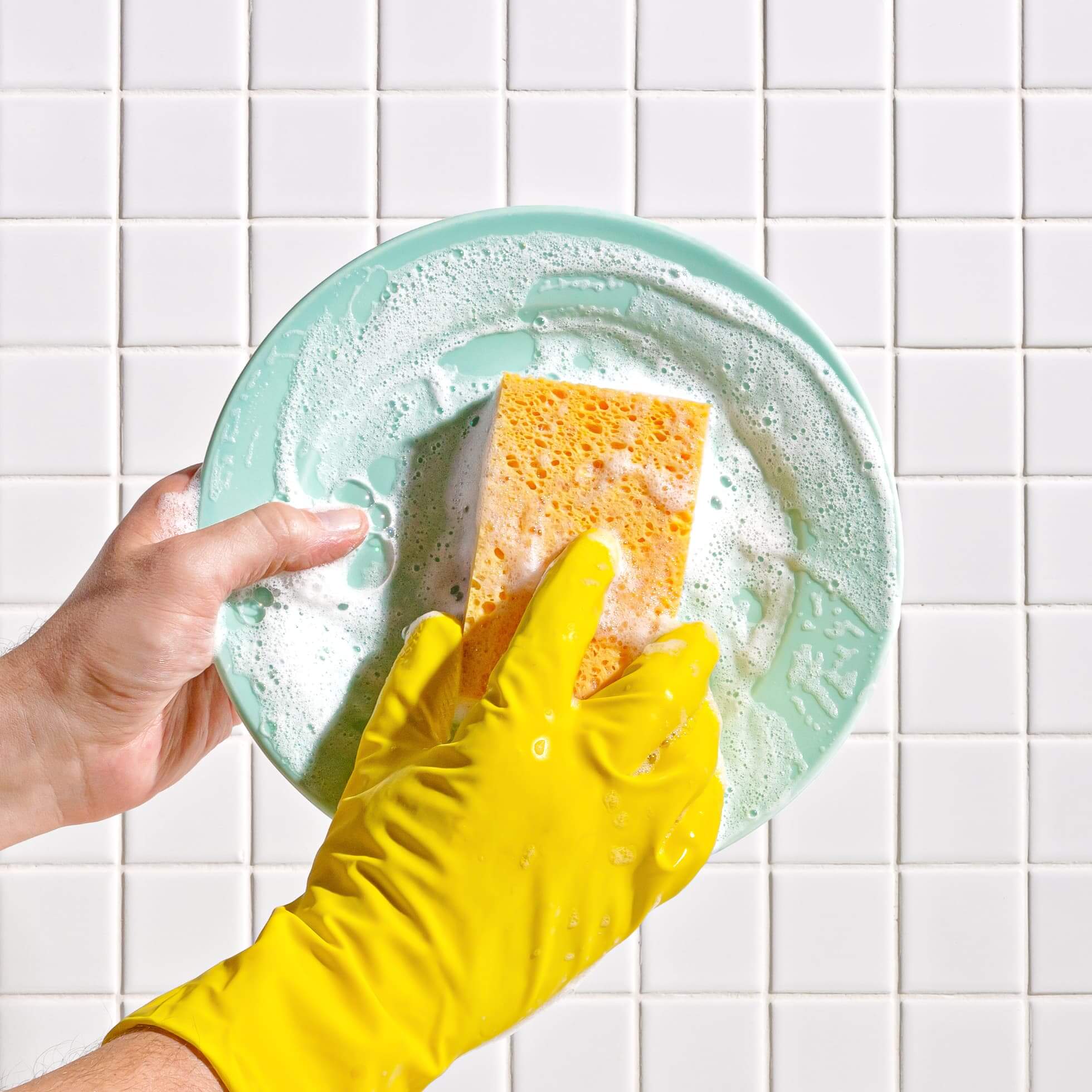 Esponjas de cocina a base de plantas