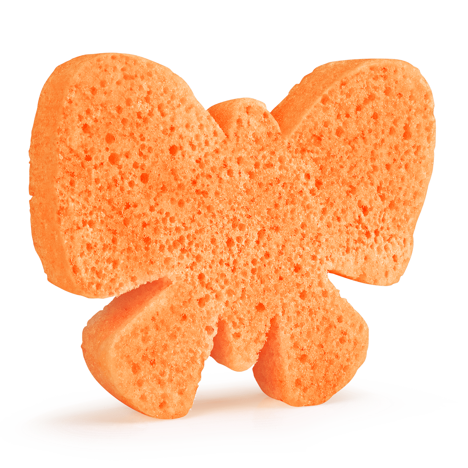 Spongellé Butterfly | Sponge Animals