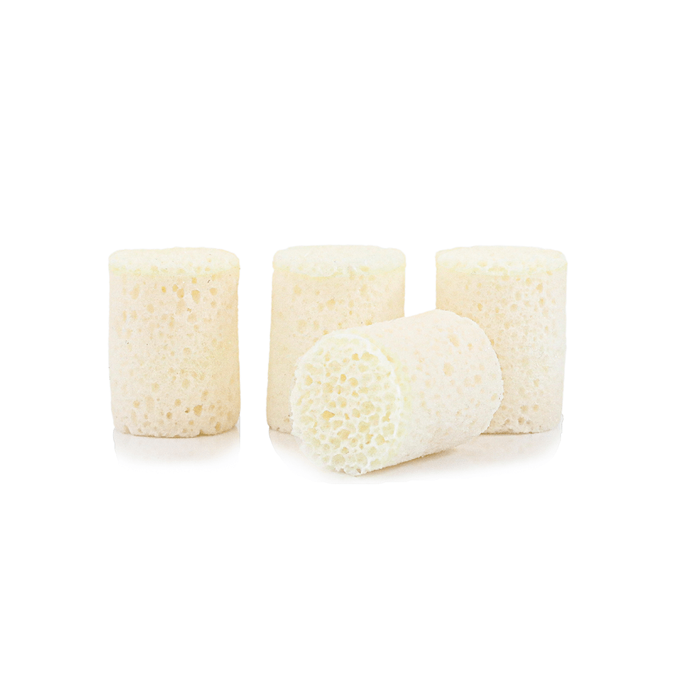 Spongellé Cocoa Bon | Confection Buffer Bits