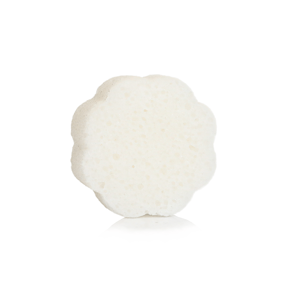 Spongellé Coconut Verbena | Daisy Spongette