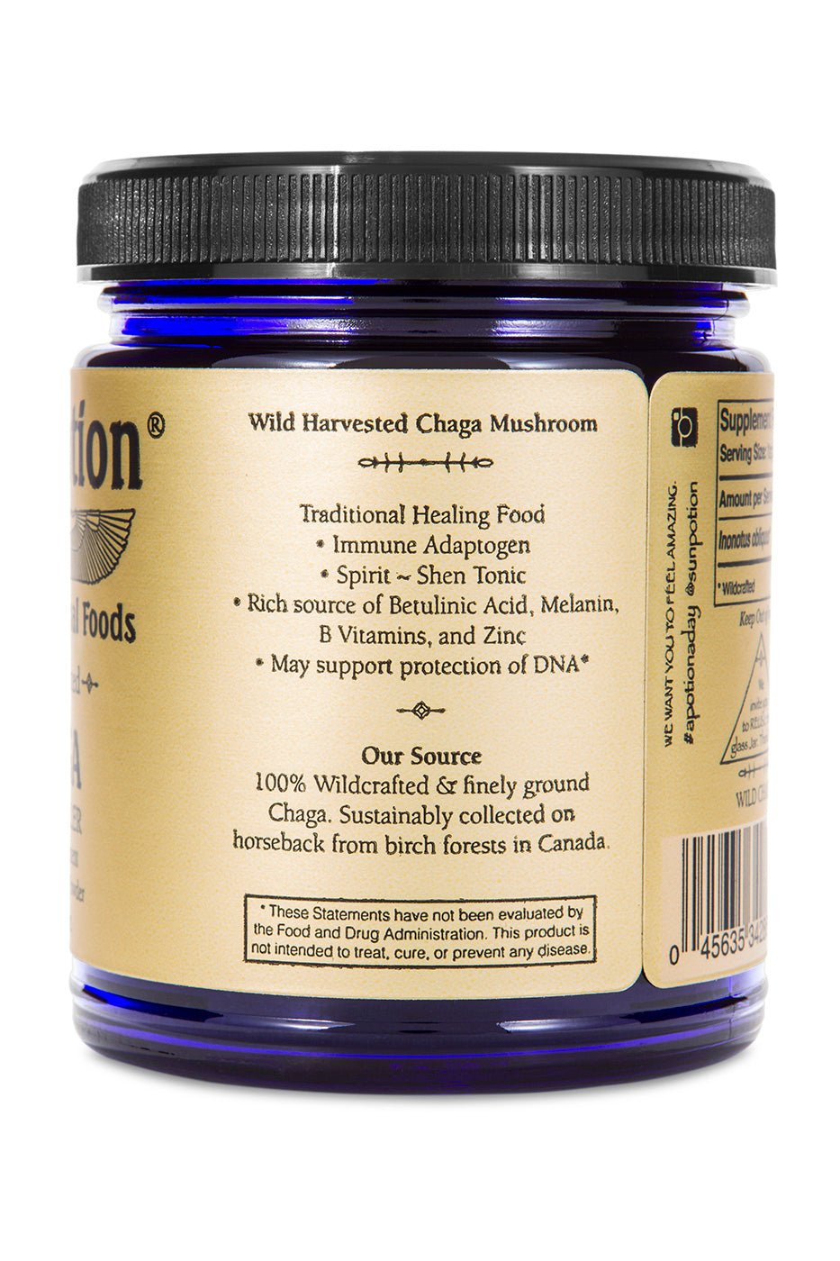 Sun PotionChaga Mushroom Powder (Wildcrafted) - M.S Skincare