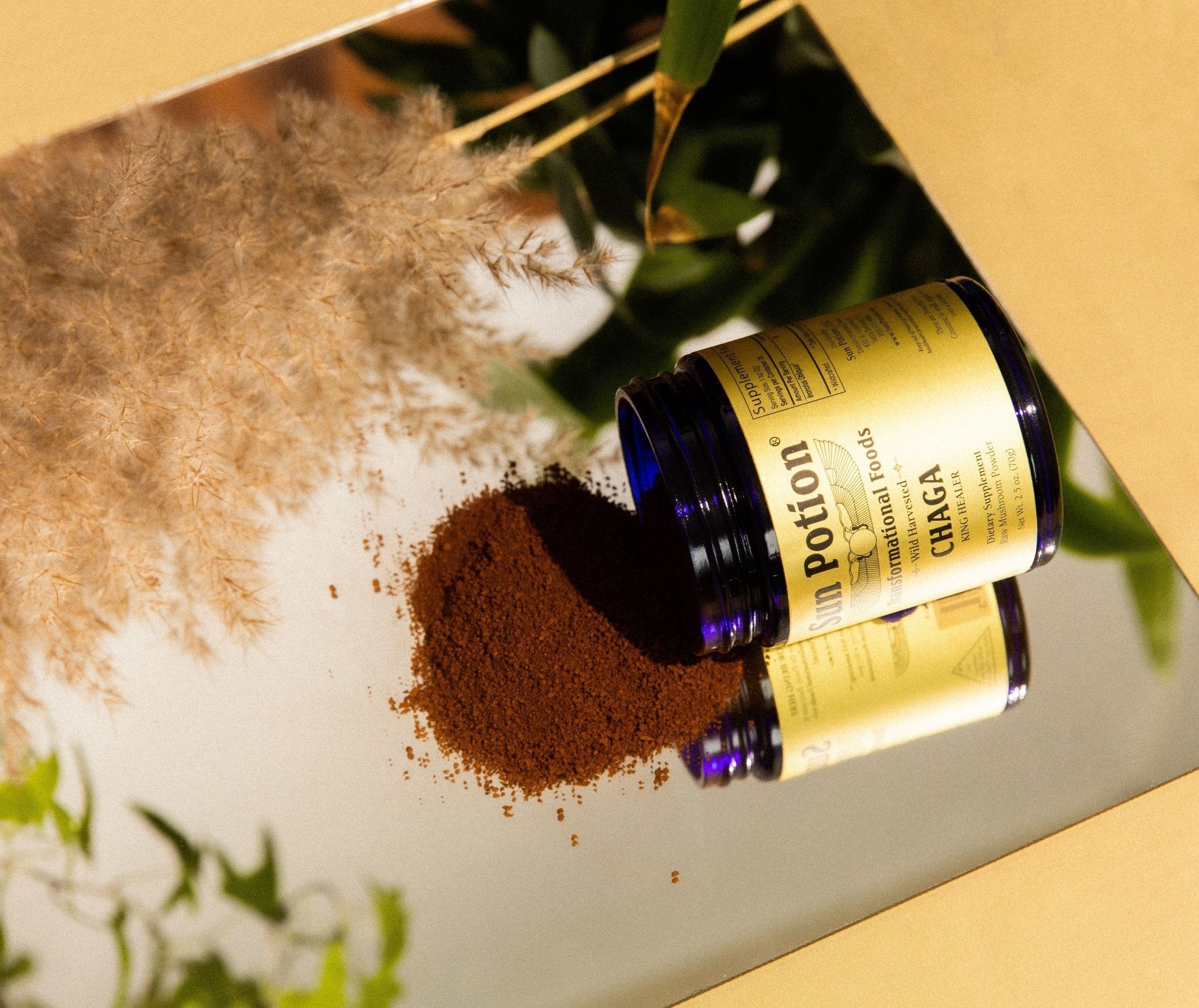 Sun PotionChaga Mushroom Powder (Wildcrafted) - M.S Skincare