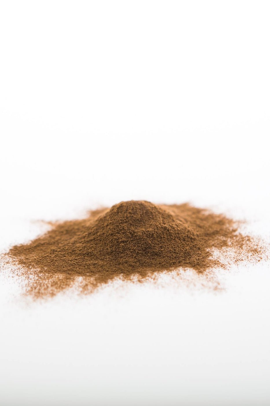 Sun PotionChaga Mushroom Powder (Wildcrafted) - M.S Skincare