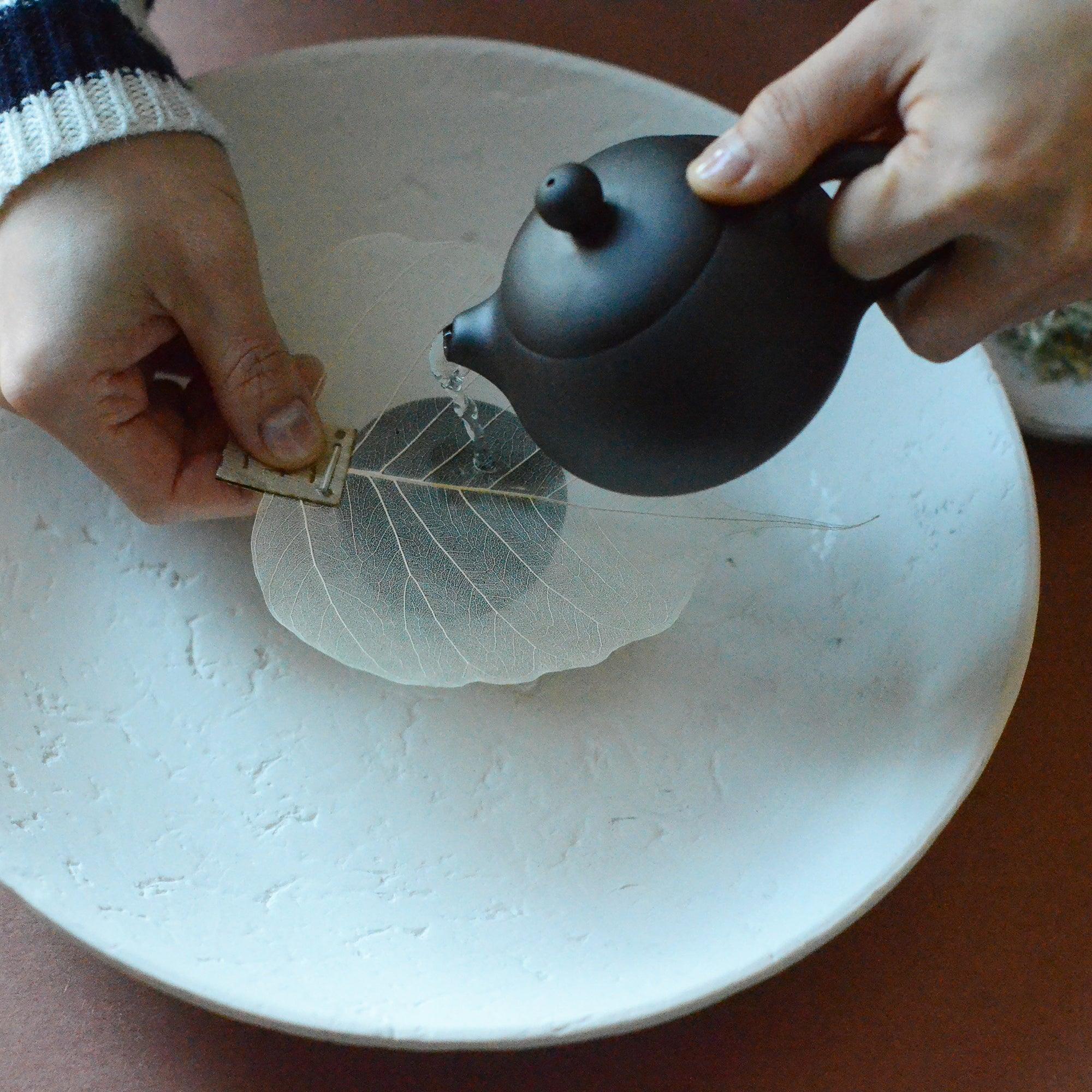 Coladores de té con forma de hojas naturales 