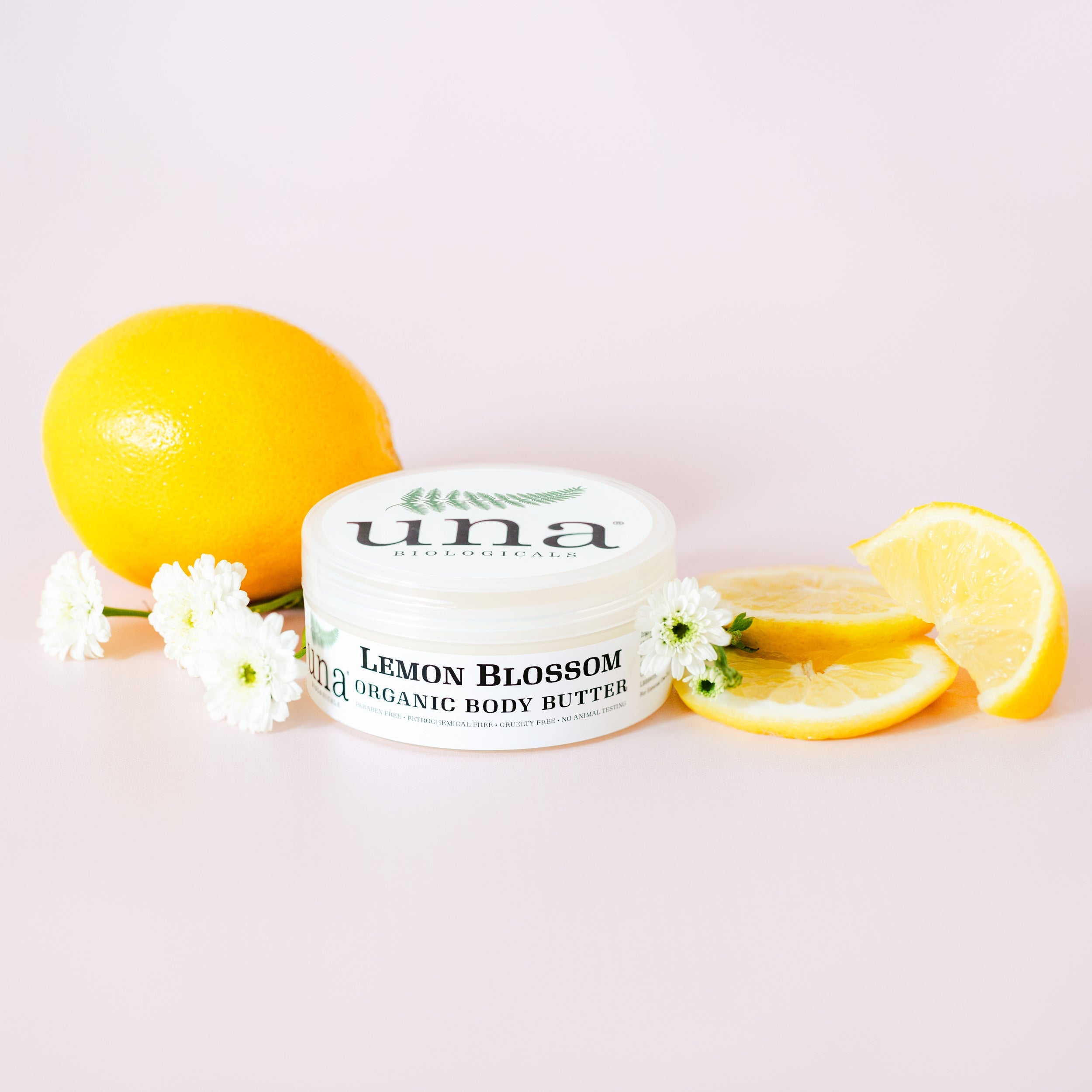 Lemon Blossom Body Butter | Natural Body Lotion | Una Biologicals