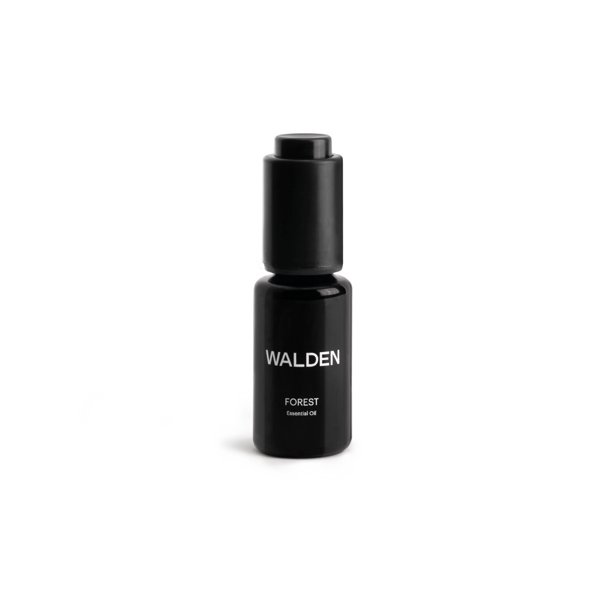 Walden Forest Essential Oil - 20ML